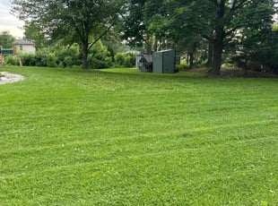Kaylyn F.'s lawn maintenance service result