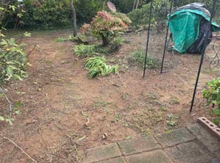 Hunter S.'s lawn maintenance service result