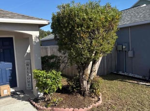Chris E.'s Bush Trimming service result