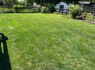 Riley E.'s grass maintenance service result