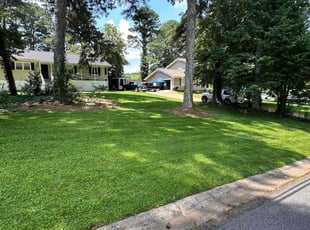 Tamala A.'s yard service service result