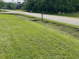 Wanda F.'s lawn care service result