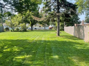 Andrea B.'s turf care service result