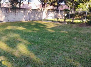 Cindi K.'s lawn care services service result