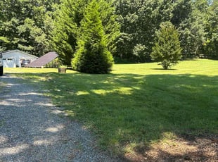 Olivia L.'s turf maintenance service result