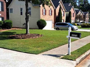 Jason E.'s lawn maintenance service result