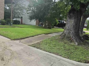 Jim K.'s lawn care service result