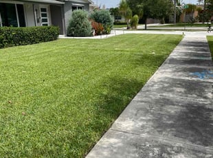 Robert H.'s lawn maintenance service result