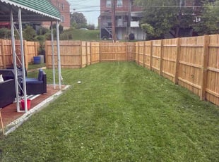 Chandra W.'s lawn care services service result