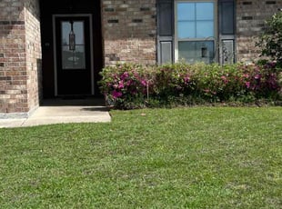 Scott H.'s lawn maintenance service result