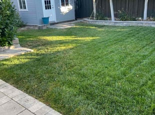 Ricky L.'s grass cutting service result