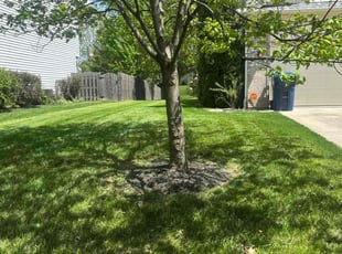 T. M.'s lawn maintenance service result