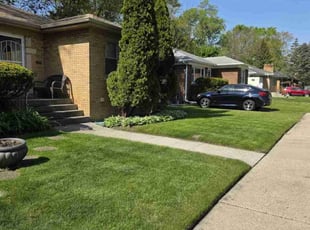 Shazell H.'s turf care service result