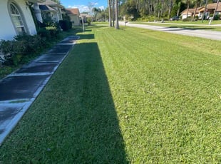 Ivan L.'s grass maintenance service result