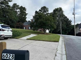 Sergio V.'s grass cutting service result