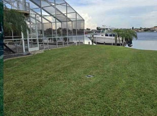 Rodney A.'s lawn service service result