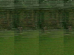 Clarence W.'s lawn care services service result