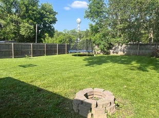 Tricia W.'s turf care service result