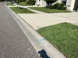 Renee C.'s lawn care service result