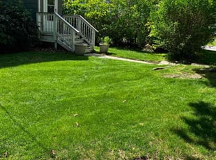 Judith O.'s turf care service result
