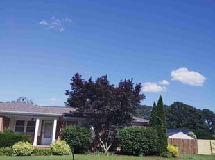 Duma J.'s grass maintenance service result