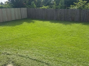 Michael S.'s lawn care service result