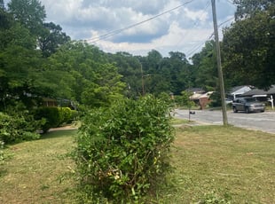 Linda L.'s Bush Trimming service result