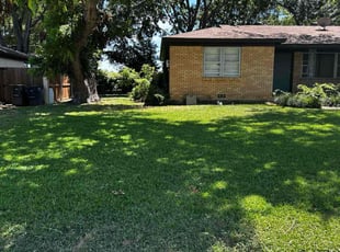 Athena S.'s grass maintenance service result
