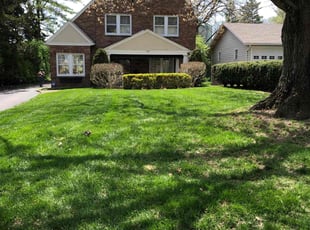 Timothy S.'s grass maintenance service result