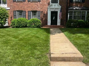 Fredrick E.'s lawn service service result