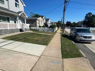 Michael S.'s Landscaping service result