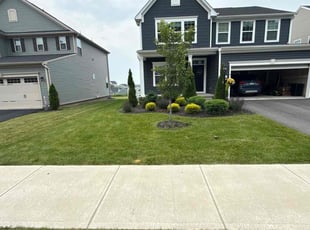 Joshua B.'s grass maintenance service result