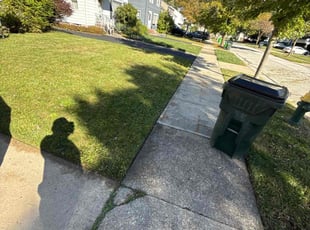 Robert R.'s turf maintenance service result