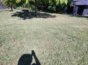 Crystal E.'s Other service result