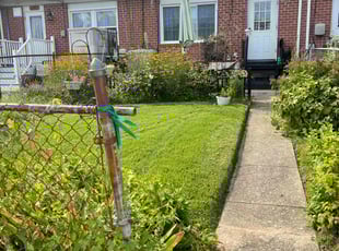 Mike B.'s grass cutting service result