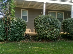Moises V.'s Bush Trimming service result