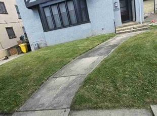Pat M.'s lawn care service result