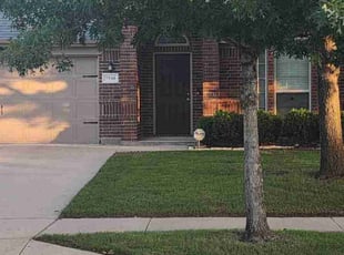 Ivy S.'s lawn maintenance service result