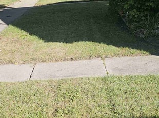 Jaz J.'s lawn care service result