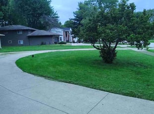 Makenzie B.'s turf care service result