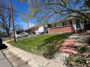 Todd R.'s turf maintenance service result