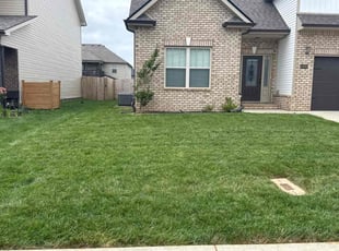 Susan M.'s turf care service result