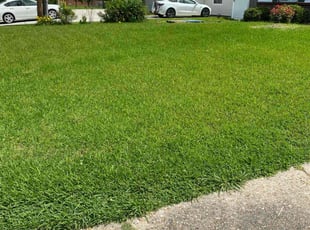 Erica L.'s grass cutting service result