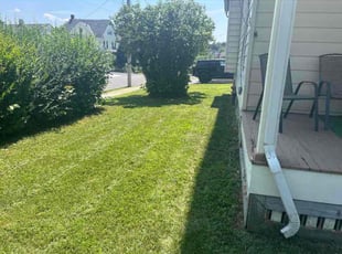 Cheryl T.'s lawn care service result