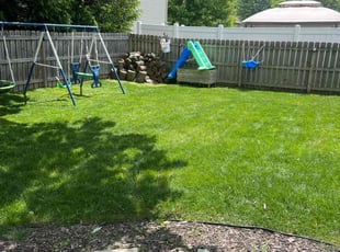 Tonya B.'s grass cutting service result