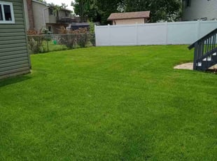 Tapiwa M.'s Cleanups service result