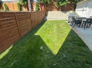 David W.'s turf care service result