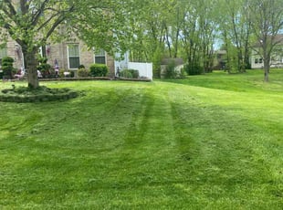 Laveta J.'s lawn service service result