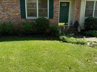 Loretta B.'s Bush Trimming service result