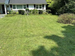Rebecca F.'s turf care service result